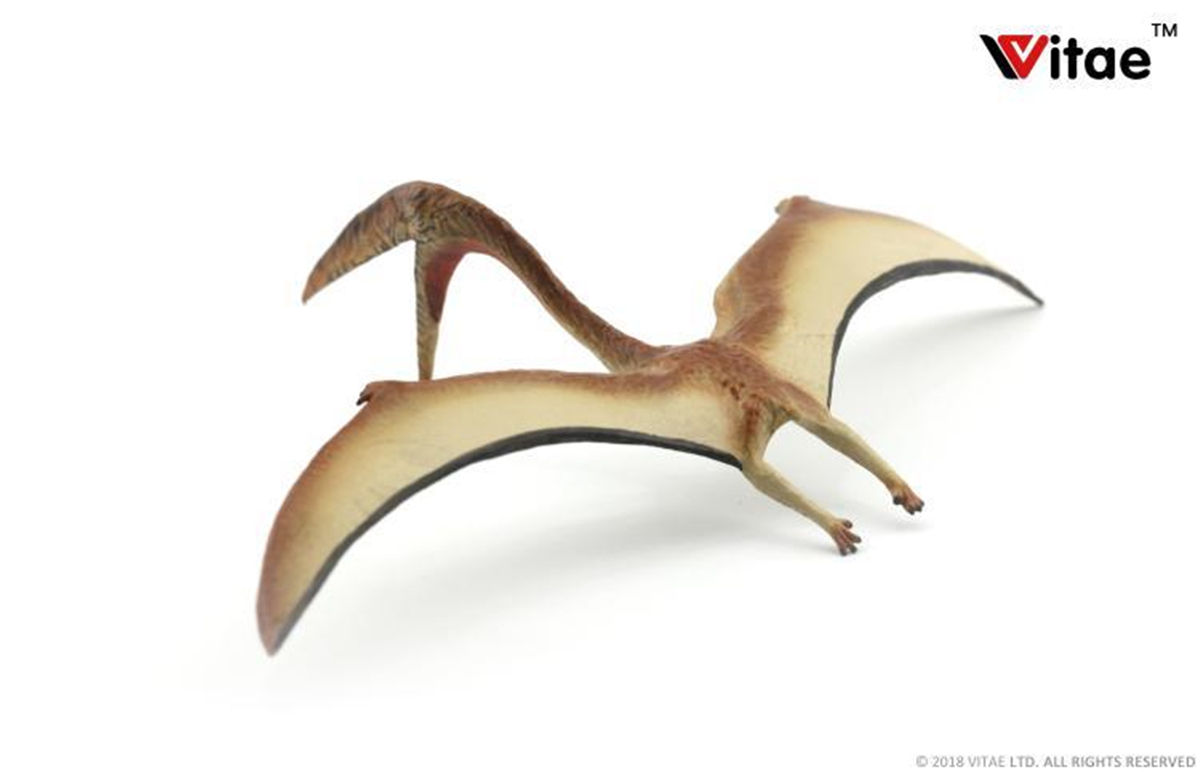 IN STOCK! Vitae Zhejiangopterus Figure Dinosaur Toys Animal Collector Decoration Adults Gift