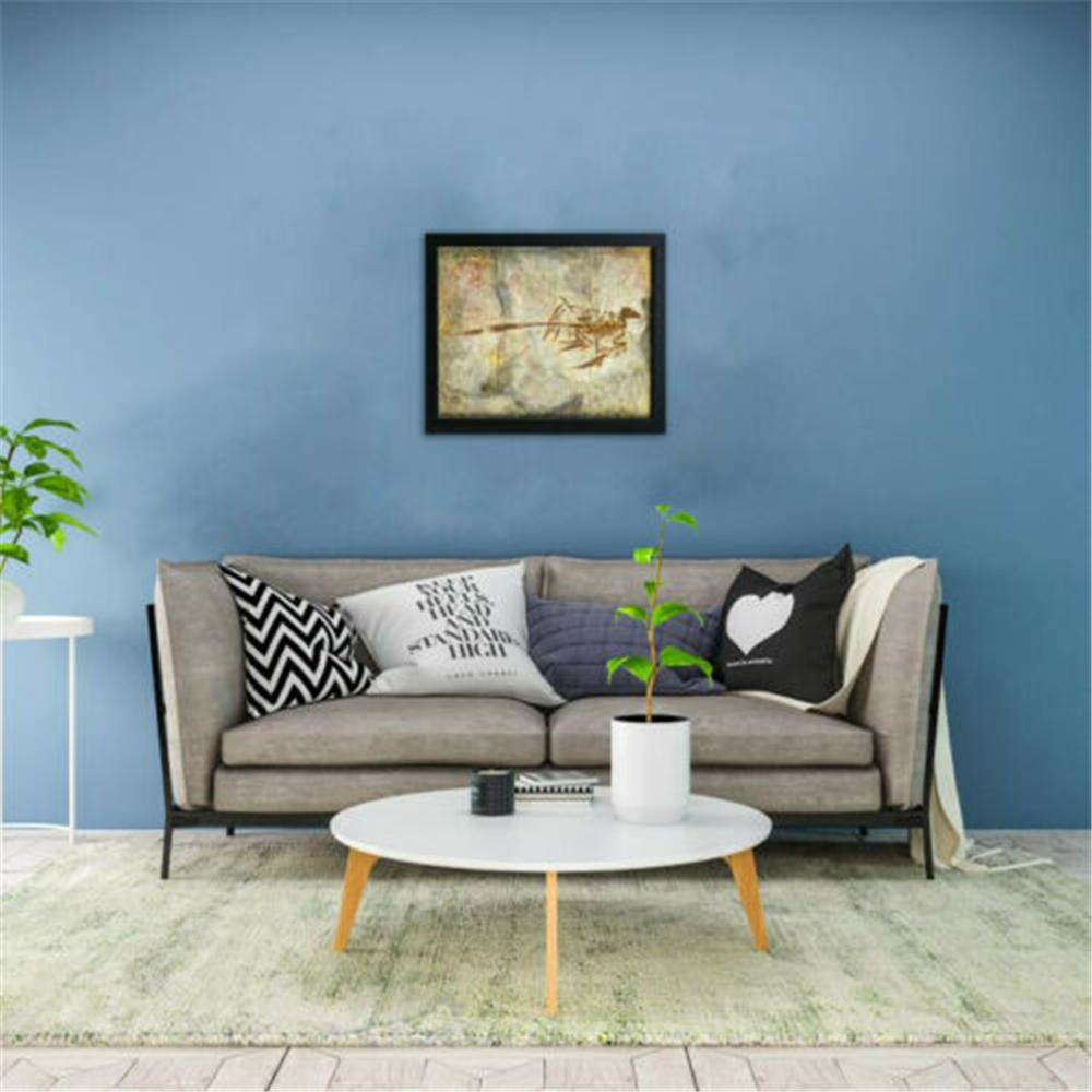 Vitae Microraptor Gui Fossil Photo Frame Dinosaur Toys Animal Collector Decoration Adults Gift Vitae Microraptor Gui Fossil Photo Frame Dinosaur Toys Animal Collector Decoration Adults Gift