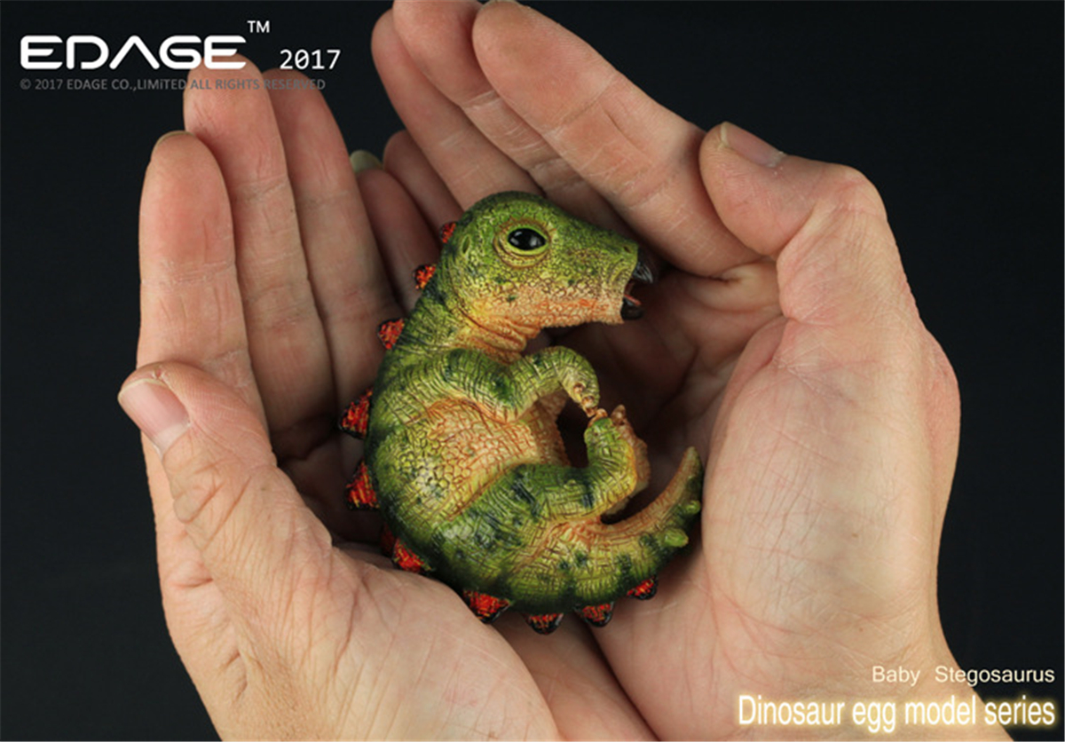 EDAGE Stegosaurus Baby Egg Figure Dinosaur Toys Animal Collector Decoration Adults Gift
