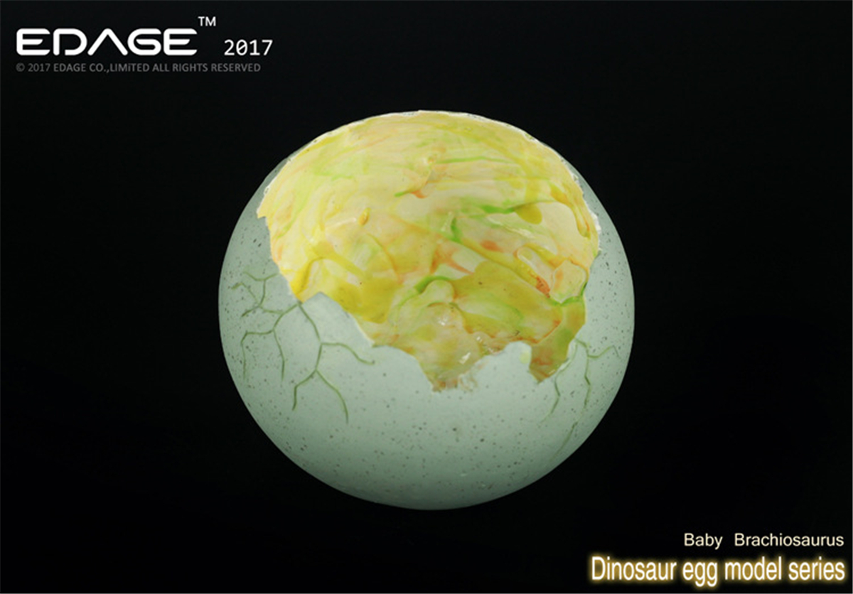 EDAGE Brachiosaurus Baby Egg Figure Dinosaur Toys Animal Collector Decoration Adults Gift EDAGE Brachiosaurus Baby Egg Figure Dinosaur Toys Animal Collector Decoration Adults Gift