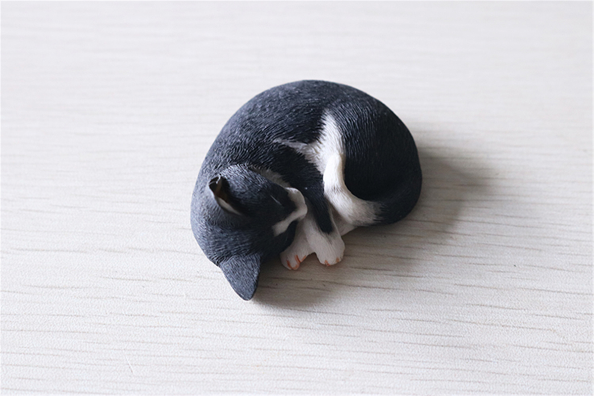 JJM Cute Sleep Cat Pet Figure Animal Model Collector Decor Kitty Toy Kid Gift Crafts Collection Simulation Car Accessories JJM Cute Sleep Cat Pet Figure Animal Model Collector Decor Kitty Toy Kid Gift Crafts Collection Simulation Car Accessories