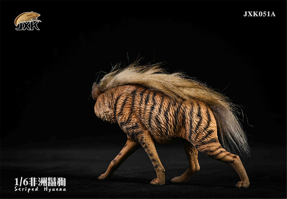 JXK 1:6 Scale Africa Striped Hyaena Figure Dog Hyaenidae Animal Collector Toy Resin Decoration Gift JXK 1:6 Scale Africa Striped Hyaena Figure Dog Hyaenidae Animal Collector Toy Resin Decoration Gift