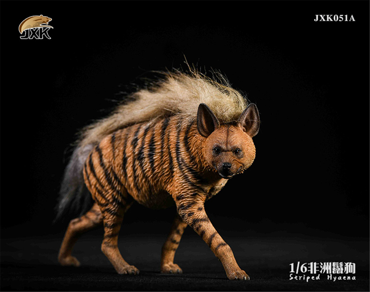 JXK 1:6 Scale Africa Striped Hyaena Figure Dog Hyaenidae Animal Collector Toy Resin Decoration Gift JXK 1:6 Scale Africa Striped Hyaena Figure Dog Hyaenidae Animal Collector Toy Resin Decoration Gift