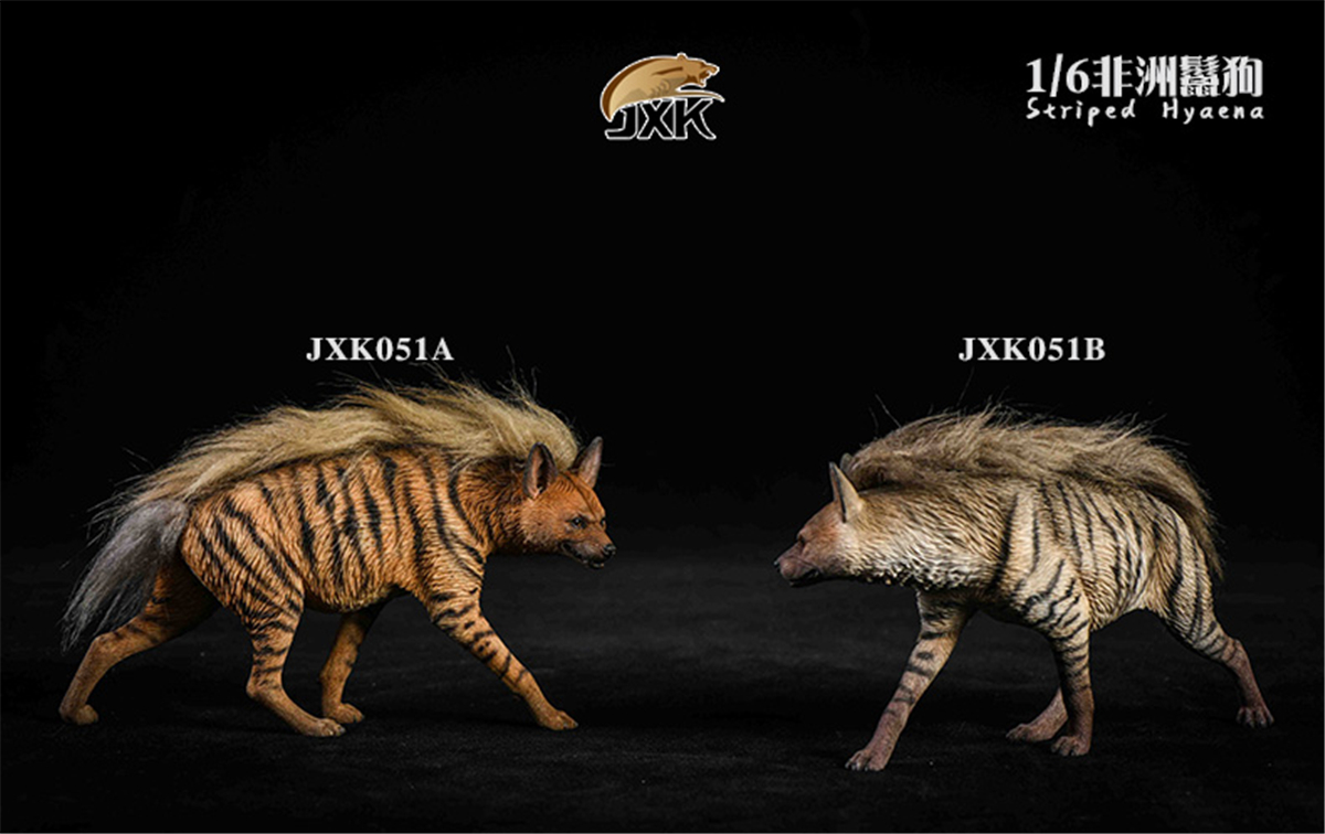 JXK 1:6 Scale Africa Striped Hyaena Figure Dog Hyaenidae Animal Collector Toy Resin Decoration Gift JXK 1:6 Scale Africa Striped Hyaena Figure Dog Hyaenidae Animal Collector Toy Resin Decoration Gift