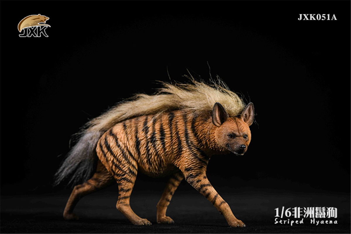 JXK 1:6 Scale Africa Striped Hyaena Figure Dog Hyaenidae Animal Collector Toy Resin Decoration Gift JXK 1:6 Scale Africa Striped Hyaena Figure Dog Hyaenidae Animal Collector Toy Resin Decoration Gift