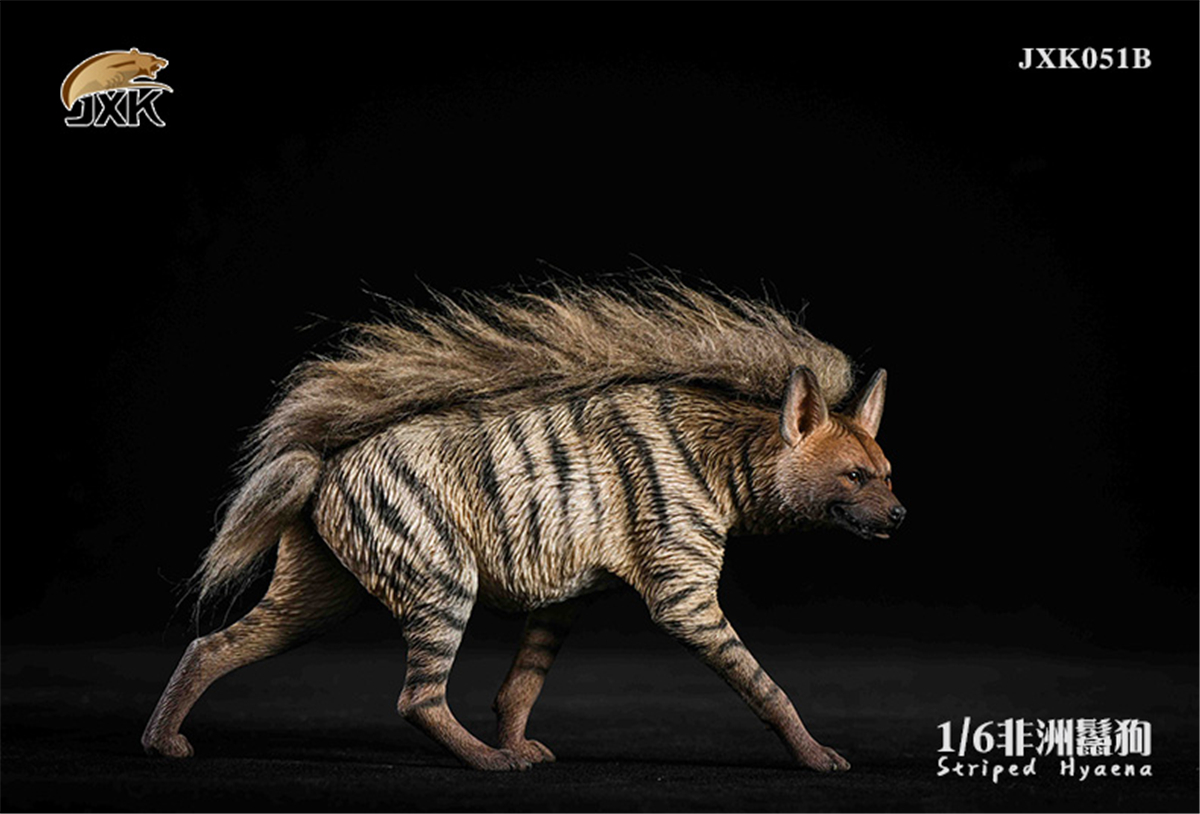 JXK 1:6 Scale Africa Striped Hyaena Figure Dog Hyaenidae Animal Collector Toy Resin Decoration Gift JXK 1:6 Scale Africa Striped Hyaena Figure Dog Hyaenidae Animal Collector Toy Resin Decoration Gift