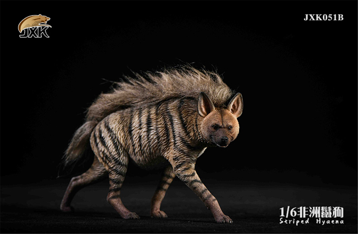 JXK 1:6 Scale Africa Striped Hyaena Figure Dog Hyaenidae Animal Collector Toy Resin Decoration Gift JXK 1:6 Scale Africa Striped Hyaena Figure Dog Hyaenidae Animal Collector Toy Resin Decoration Gift