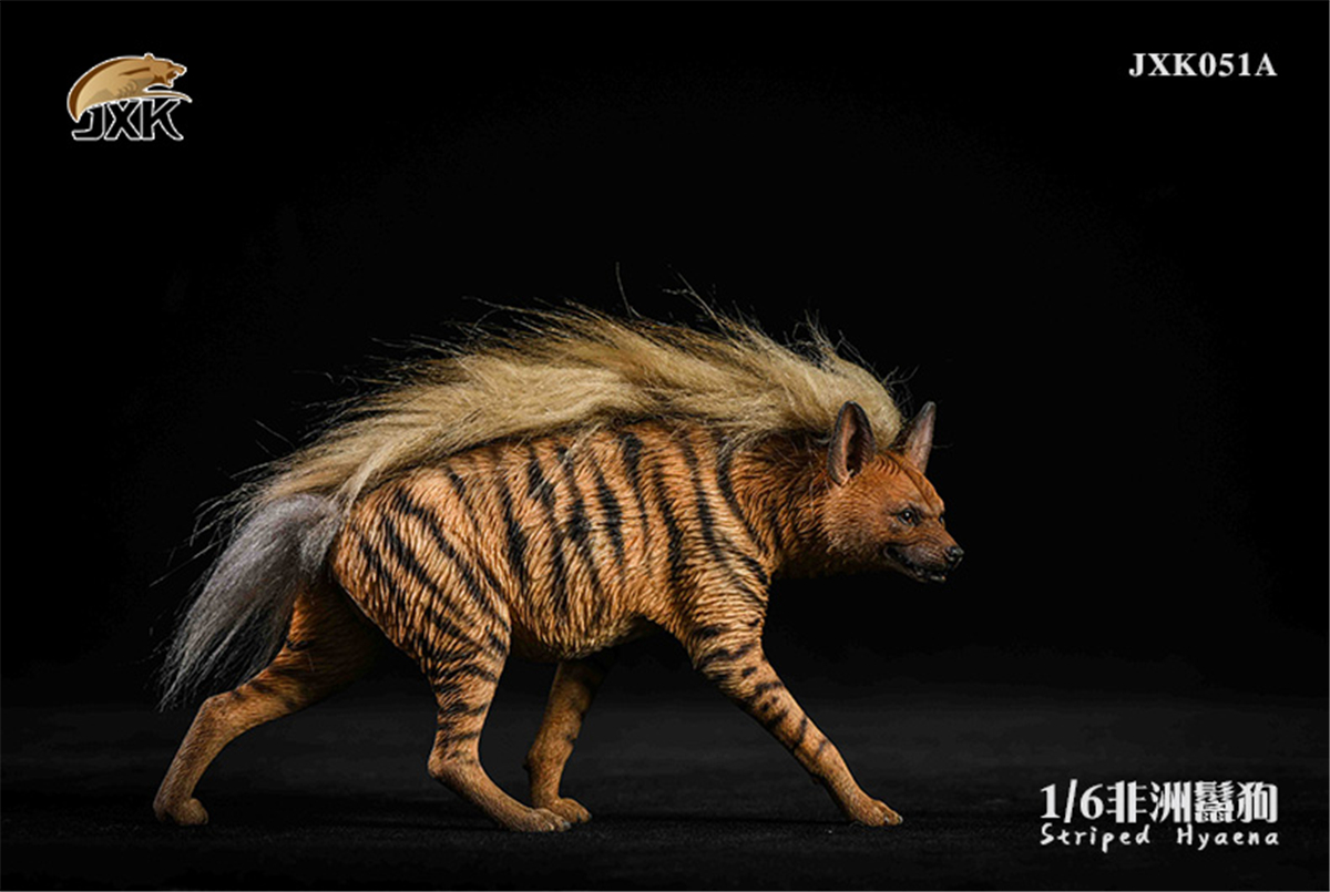 JXK 1:6 Scale Africa Striped Hyaena Figure Dog Hyaenidae Animal Collector Toy Resin Decoration Gift JXK 1:6 Scale Africa Striped Hyaena Figure Dog Hyaenidae Animal Collector Toy Resin Decoration Gift