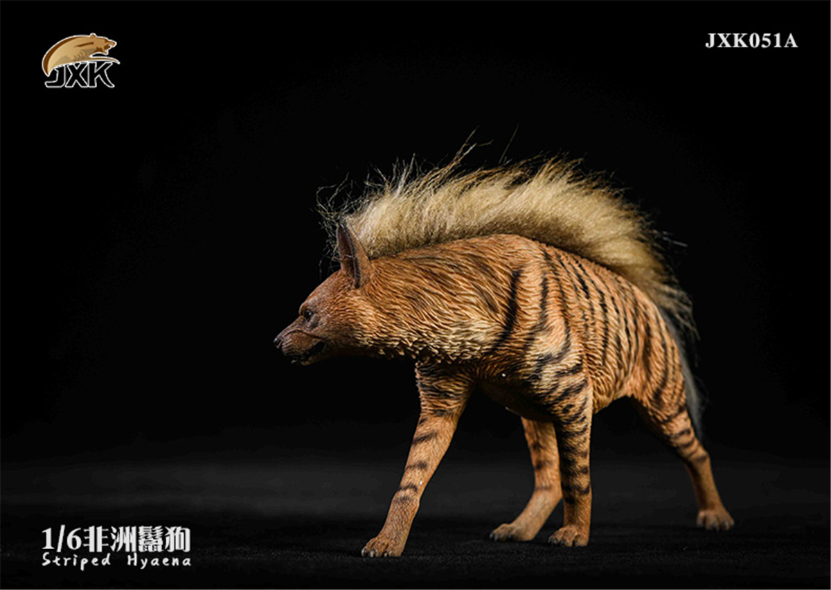 JXK 1:6 Scale Africa Striped Hyaena Figure Dog Hyaenidae Animal Collector Toy Resin Decoration Gift JXK 1:6 Scale Africa Striped Hyaena Figure Dog Hyaenidae Animal Collector Toy Resin Decoration Gift