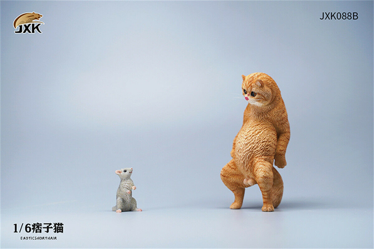JXK 1/6th Exotic Shorthair Model Ruffian Cat Figure Realistic Animal Collector Funny Decoration Ornaments Kids Gift Toy JXK 1/6th Exotic Shorthair Model Ruffian Cat Figure Realistic Animal Collector Funny Decoration Ornaments Kids Gift Toy