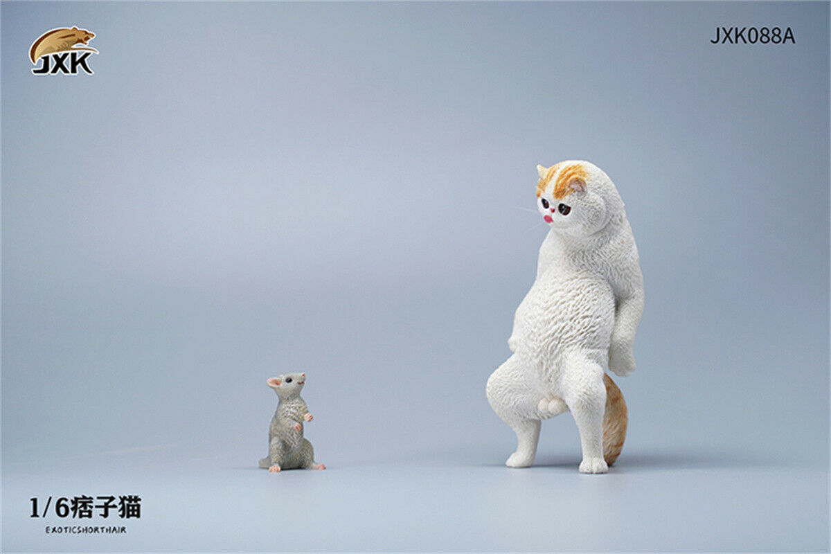 JXK 1/6th Exotic Shorthair Model Ruffian Cat Figure Realistic Animal Collector Funny Decoration Ornaments Kids Gift Toy JXK 1/6th Exotic Shorthair Model Ruffian Cat Figure Realistic Animal Collector Funny Decoration Ornaments Kids Gift Toy
