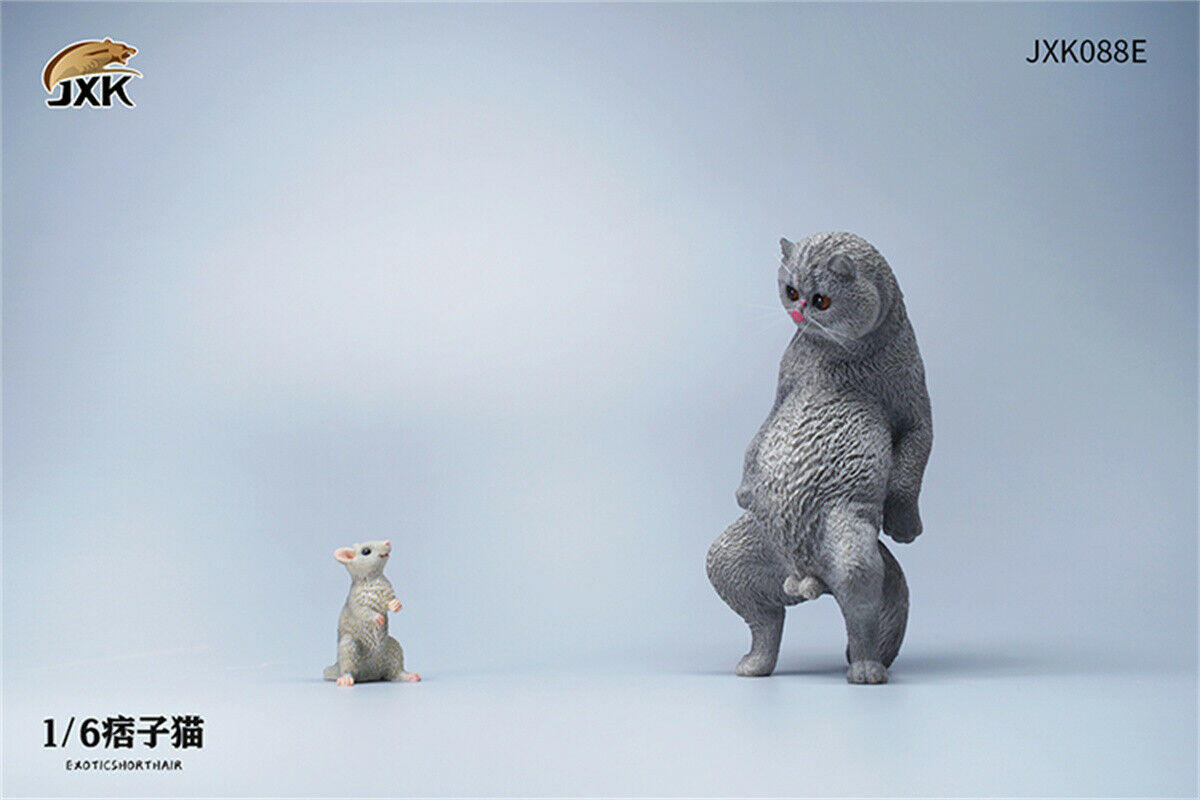 JXK 1/6th Exotic Shorthair Model Ruffian Cat Figure Realistic Animal Collector Funny Decoration Ornaments Kids Gift Toy JXK 1/6th Exotic Shorthair Model Ruffian Cat Figure Realistic Animal Collector Funny Decoration Ornaments Kids Gift Toy