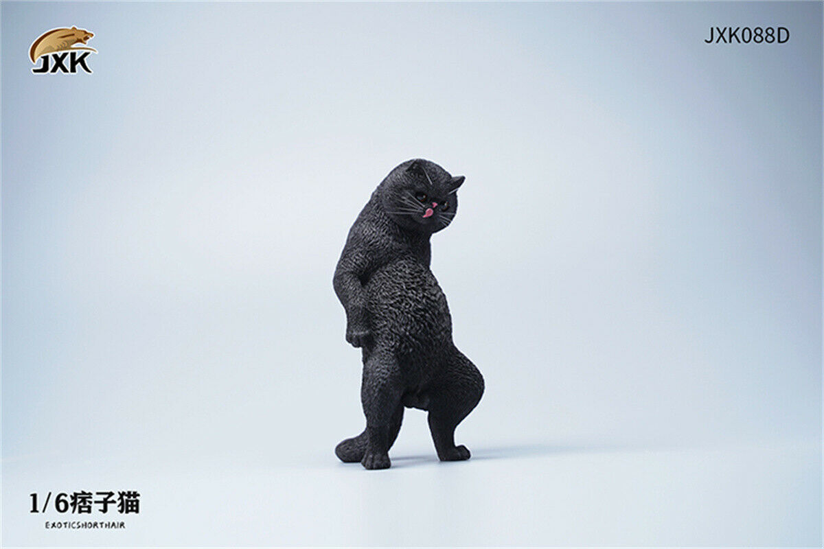 JXK 1/6th Exotic Shorthair Model Ruffian Cat Figure Realistic Animal Collector Funny Decoration Ornaments Kids Gift Toy JXK 1/6th Exotic Shorthair Model Ruffian Cat Figure Realistic Animal Collector Funny Decoration Ornaments Kids Gift Toy