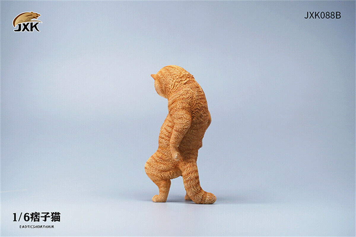 JXK 1/6th Exotic Shorthair Model Ruffian Cat Figure Realistic Animal Collector Funny Decoration Ornaments Kids Gift Toy JXK 1/6th Exotic Shorthair Model Ruffian Cat Figure Realistic Animal Collector Funny Decoration Ornaments Kids Gift Toy