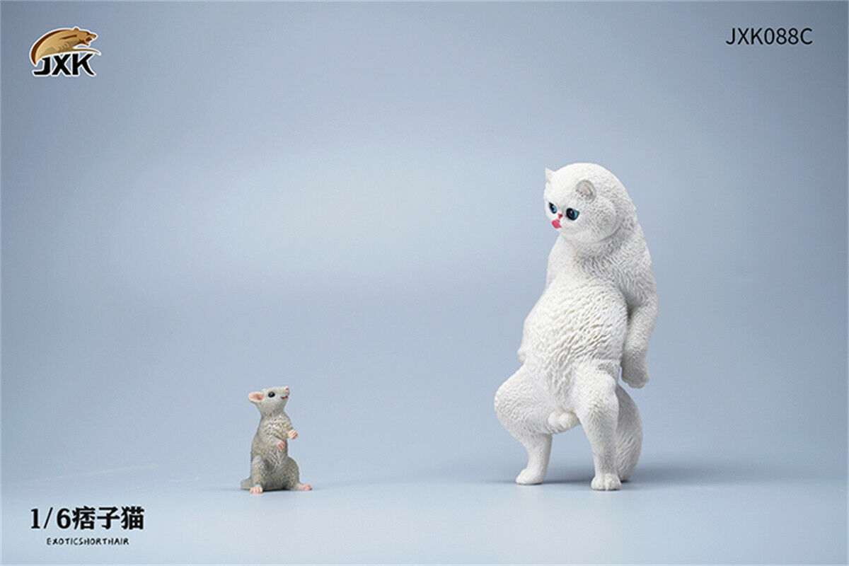 JXK 1/6th Exotic Shorthair Model Ruffian Cat Figure Realistic Animal Collector Funny Decoration Ornaments Kids Gift Toy JXK 1/6th Exotic Shorthair Model Ruffian Cat Figure Realistic Animal Collector Funny Decoration Ornaments Kids Gift Toy