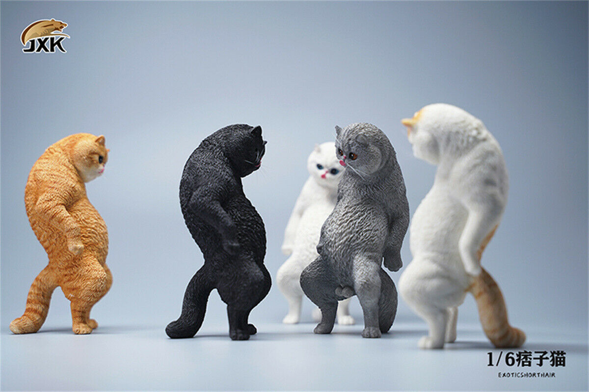 JXK 1/6th Exotic Shorthair Model Ruffian Cat Figure Realistic Animal Collector Funny Decoration Ornaments Kids Gift Toy JXK 1/6th Exotic Shorthair Model Ruffian Cat Figure Realistic Animal Collector Funny Decoration Ornaments Kids Gift Toy