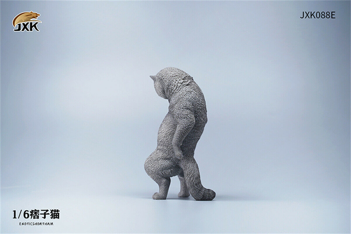 JXK 1/6th Exotic Shorthair Model Ruffian Cat Figure Realistic Animal Collector Funny Decoration Ornaments Kids Gift Toy JXK 1/6th Exotic Shorthair Model Ruffian Cat Figure Realistic Animal Collector Funny Decoration Ornaments Kids Gift Toy