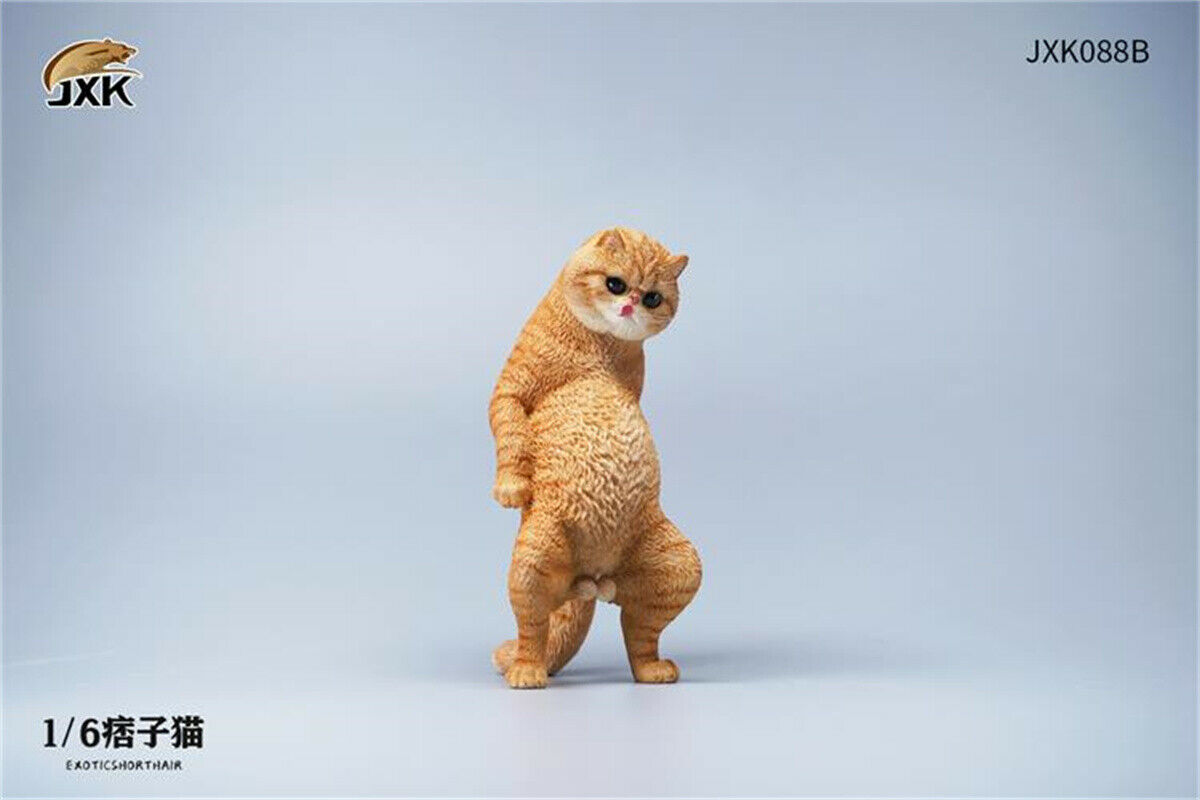 JXK 1/6th Exotic Shorthair Model Ruffian Cat Figure Realistic Animal Collector Funny Decoration Ornaments Kids Gift Toy JXK 1/6th Exotic Shorthair Model Ruffian Cat Figure Realistic Animal Collector Funny Decoration Ornaments Kids Gift Toy