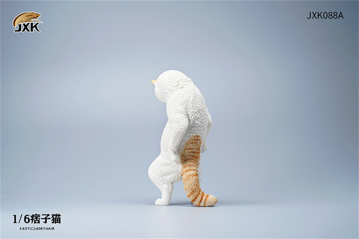 JXK 1/6th Exotic Shorthair Model Ruffian Cat Figure Realistic Animal Collector Funny Decoration Ornaments Kids Gift Toy JXK 1/6th Exotic Shorthair Model Ruffian Cat Figure Realistic Animal Collector Funny Decoration Ornaments Kids Gift Toy