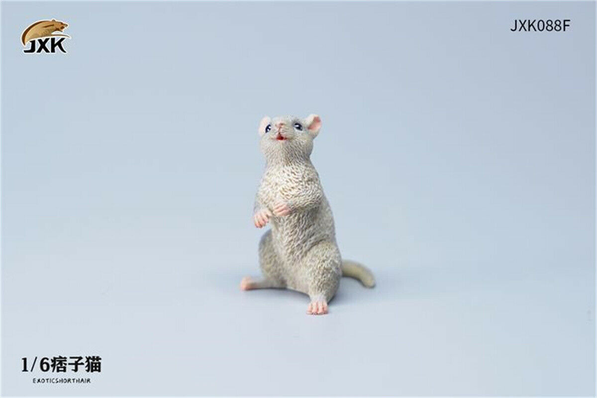 JXK 1/6th Exotic Shorthair Model Ruffian Cat Figure Realistic Animal Collector Funny Decoration Ornaments Kids Gift Toy JXK 1/6th Exotic Shorthair Model Ruffian Cat Figure Realistic Animal Collector Funny Decoration Ornaments Kids Gift Toy
