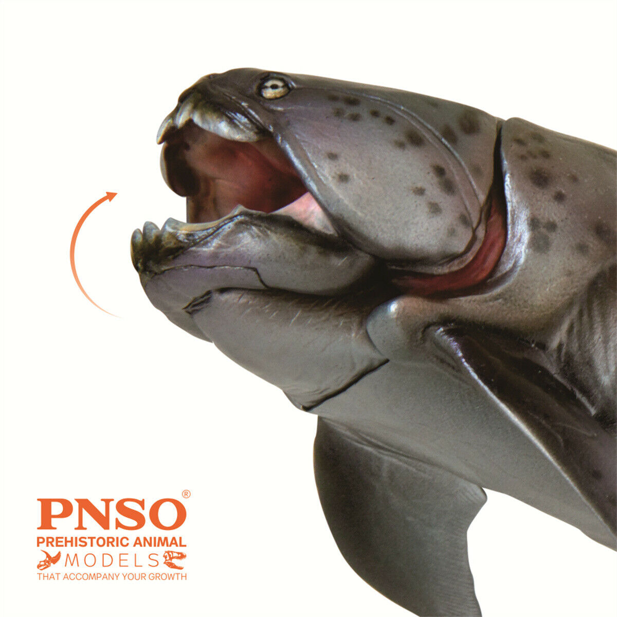 PNSO Dunkleosteus Zaha Model Prehistoric Dinosaur Figure Animal Collector Toy Decor Gift Kids Adult Education Movable Jaw Model