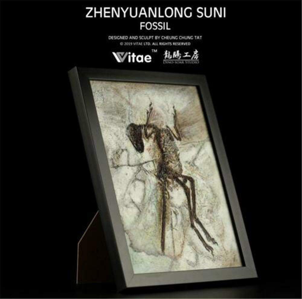 Vitae Zhenyuanlong Suni Fossil Photo Frame Dinosaur Toys Animal Collector Decoration Adults Gift