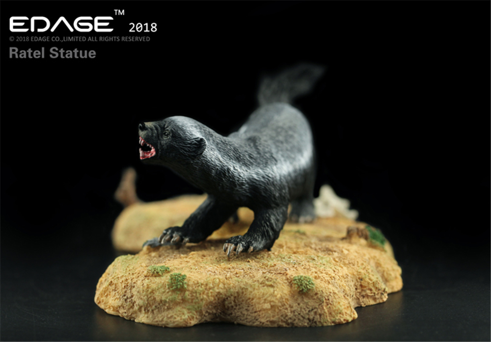 EDAGE Honey Badger Model Ratel Mustelidae Animal Figure Desktop Decoration Collector Toy Gift