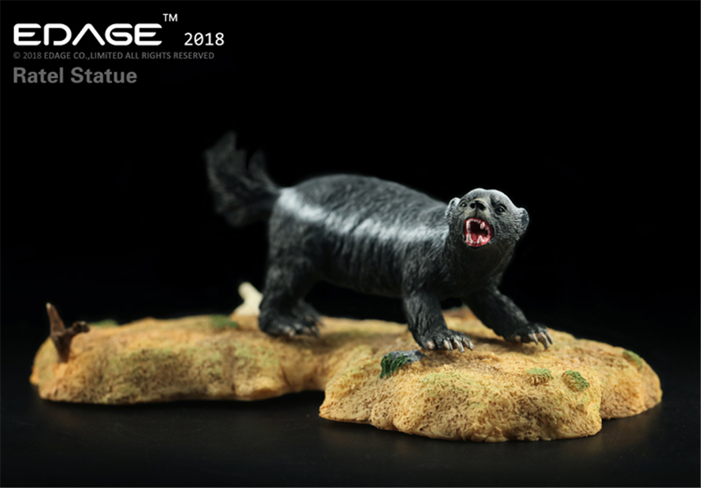 EDAGE Honey Badger Model Ratel Mustelidae Animal Figure Desktop Decoration Collector Toy Gift