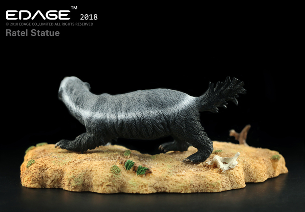 EDAGE Honey Badger Model Ratel Mustelidae Animal Figure Desktop Decoration Collector Toy Gift