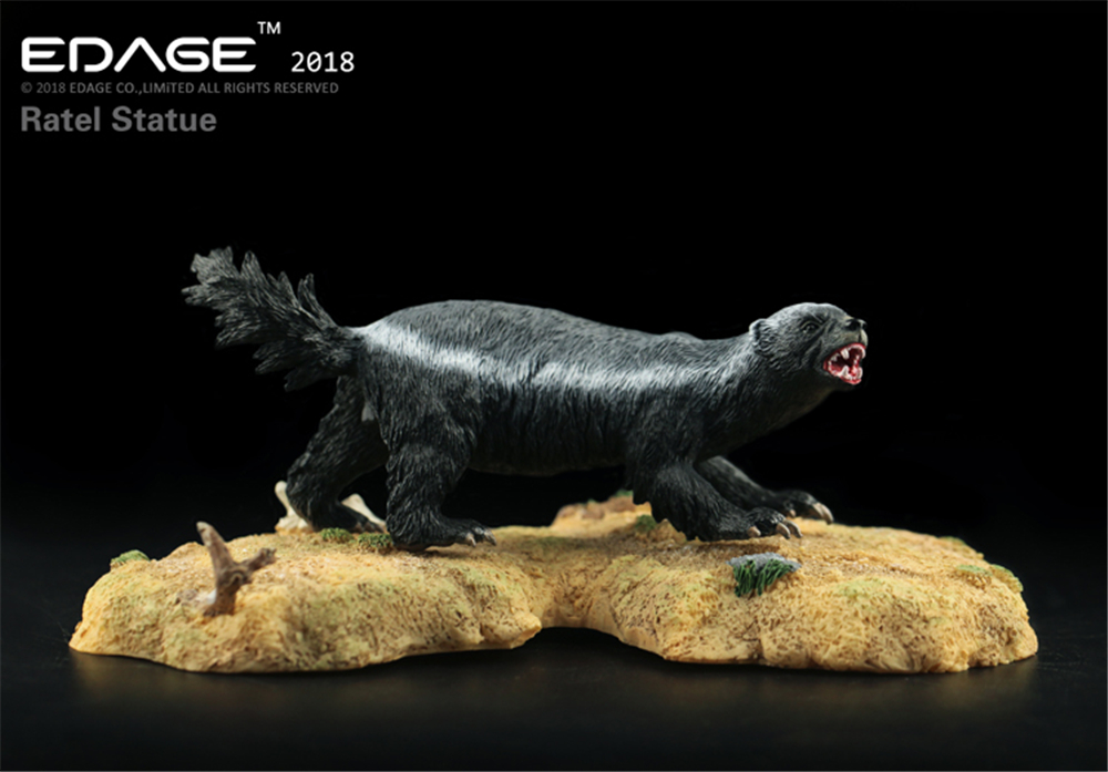 EDAGE Honey Badger Model Ratel Mustelidae Animal Figure Desktop Decoration Collector Toy Gift