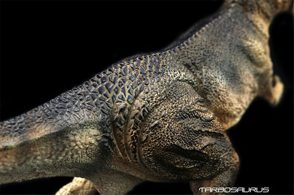 EDAGE 1:35 Scale Tarbosaurus Model Tyrannosaurus Tyrannosauridae Dinosaur Toys Animal Collector Decoration Adults Gift EDAGE 1:35 Scale Tarbosaurus Model Tyrannosaurus Tyrannosauridae Dinosaur Toys Animal Collector Decoration Adults Gift