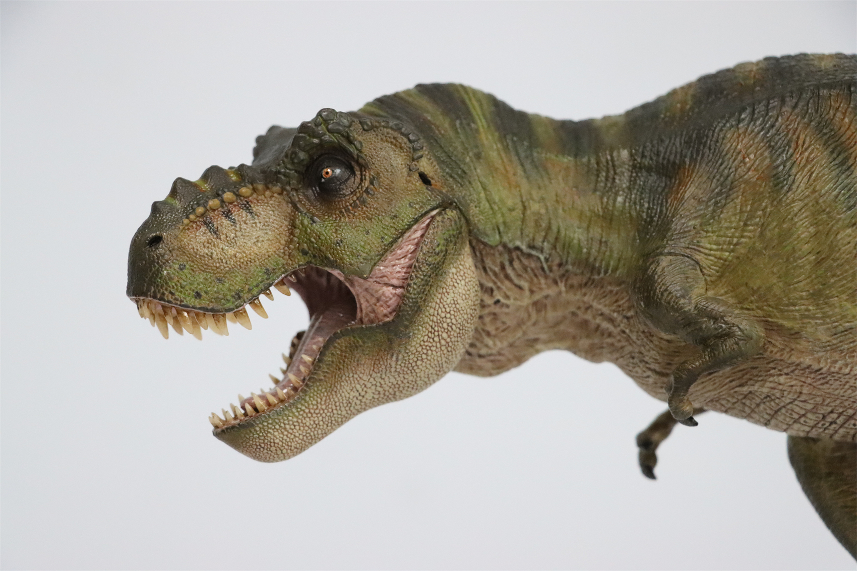 Nanmu 1:35 Tyrannosaurus Rex Deluxe Version The Once and Future King Obsidian Mountains T-Rex Dinosaur Toy Animal Model