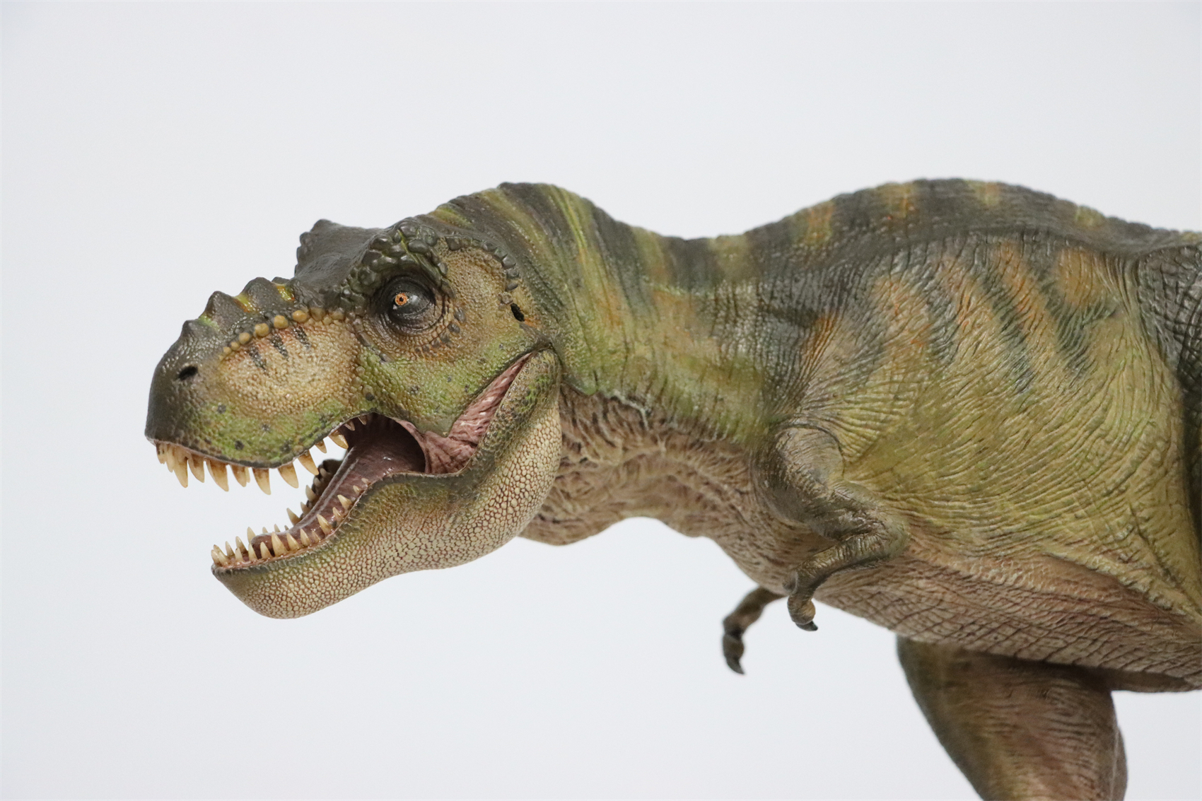 Nanmu 1:35 Tyrannosaurus Rex Deluxe Version The Once and Future King ...