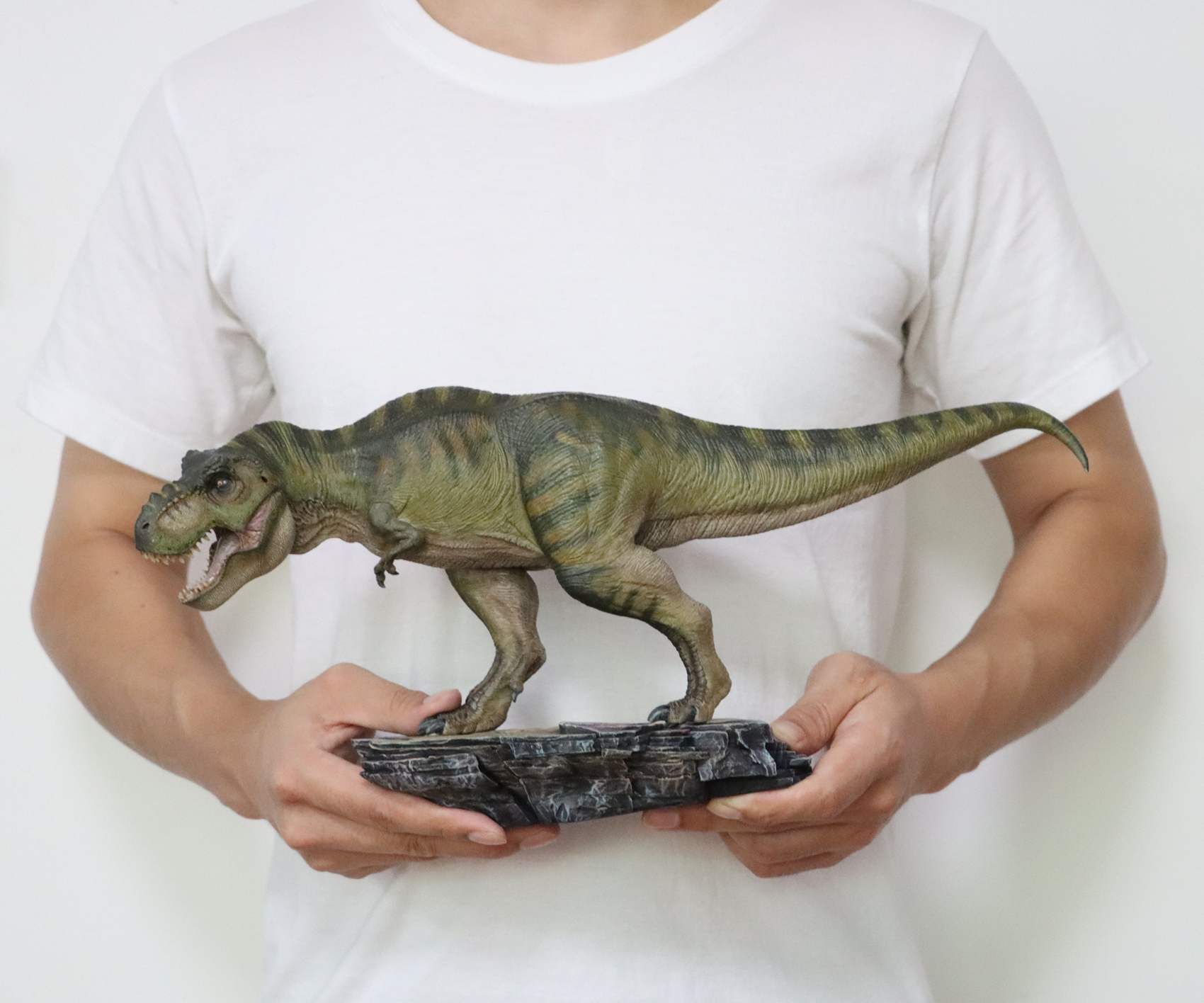 Nanmu 1:35 Tyrannosaurus Rex Deluxe Version The Once and Future King Obsidian Mountains T-Rex Dinosaur Toy Animal Model