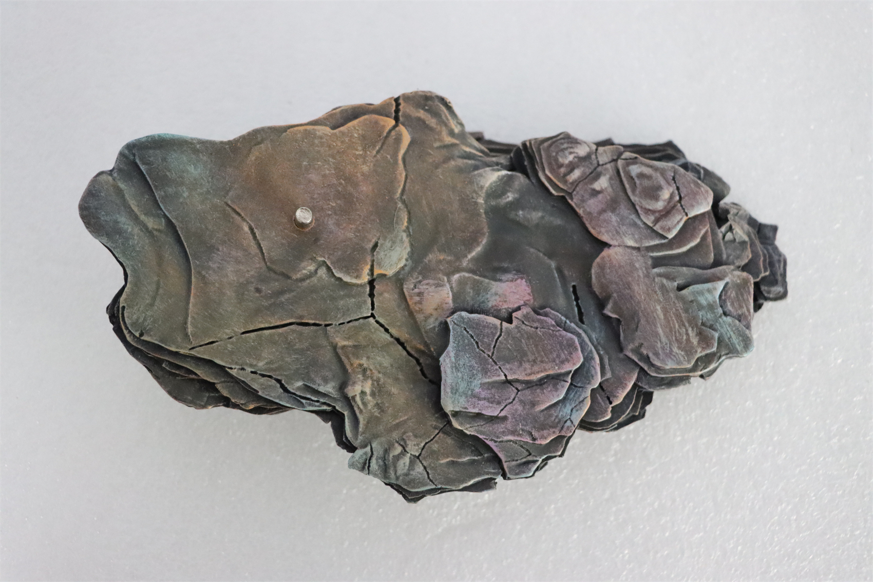 Nanmu 1:35 Tyrannosaurus Rex Deluxe Version The Once and Future King Obsidian Mountains T-Rex Dinosaur Toy Animal Model