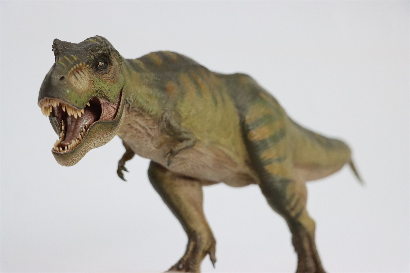 Nanmu 1:35 Tyrannosaurus Rex Deluxe Version The Once and Future King Obsidian Mountains T-Rex Dinosaur Toy Animal Model