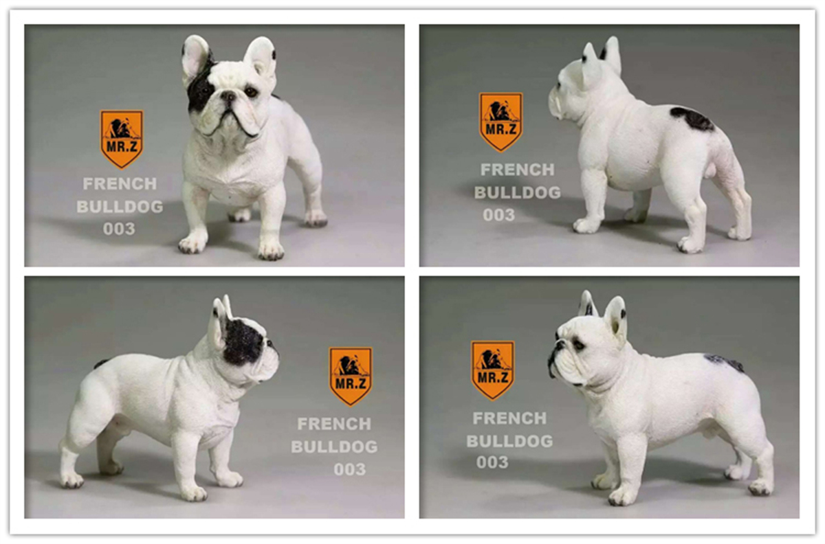 Mr.Z Studio 1:6 Stand French Bulldog Bull Dog Pet Figure Animal Toy Collector Decor Gift Play Home Furnishing Small Ornaments Mr.Z Studio 1:6 Stand French Bulldog Bull Dog Pet Figure Animal Toy Collector Decor Gift Play Home Furnishing Small Ornaments