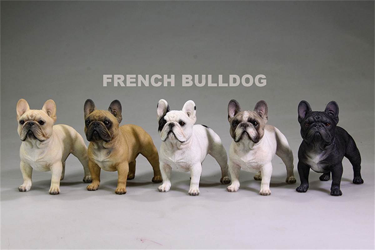 Mr.Z Studio 1:6 Stand French Bulldog Bull Dog Pet Figure Animal Toy Collector Decor Gift Play Home Furnishing Small Ornaments Mr.Z Studio 1:6 Stand French Bulldog Bull Dog Pet Figure Animal Toy Collector Decor Gift Play Home Furnishing Small Ornaments