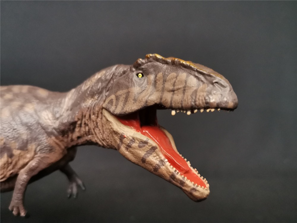 IN STOCK! Eofauna 1:35 Scale Giganotosaurus Figure Carcharodontosauridae Dinosaur Model Toys Collector Prehistoric Animal Gift IN STOCK! Eofauna 1:35 Scale Giganotosaurus Figure Carcharodontosauridae Dinosaur Model Toys Collector Prehistoric Animal Gift