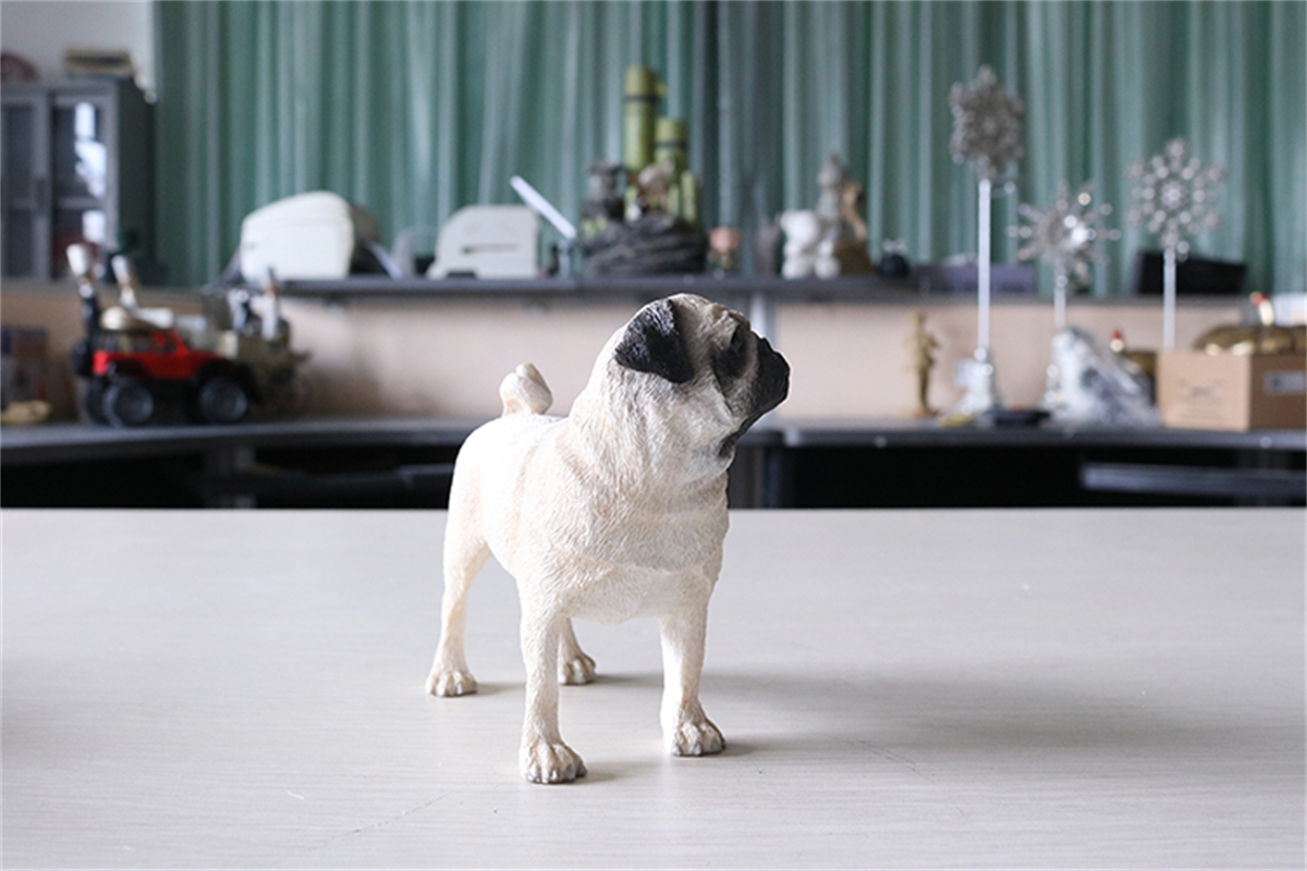 JJM Pug Dog Pet Figure Canidae Animal Collector Canis Lupus Familiaris Toy Gift Crafts Souvenirs Decoration Vehicle Simulation JJM Pug Dog Pet Figure Canidae Animal Collector Canis Lupus Familiaris Toy Gift Crafts Souvenirs Decoration Vehicle Simulation
