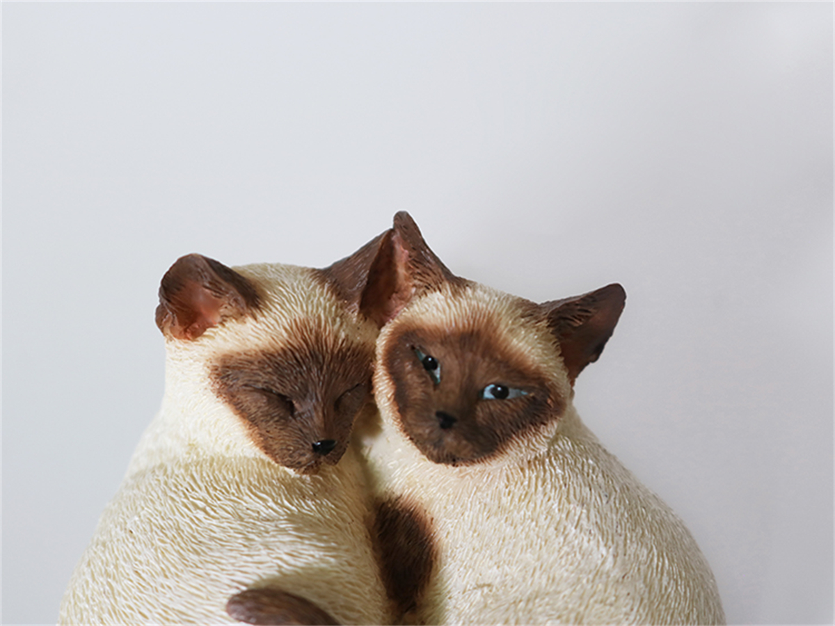JJM Cute Birman Cat Pet Figure Kitten Felidae Animal Collector Toy Couple Sleeping Position Decoration Gift Crafts Souvenirs JJM Cute Birman Cat Pet Figure Kitten Felidae Animal Collector Toy Couple Sleeping Position Decoration Gift Crafts Souvenirs
