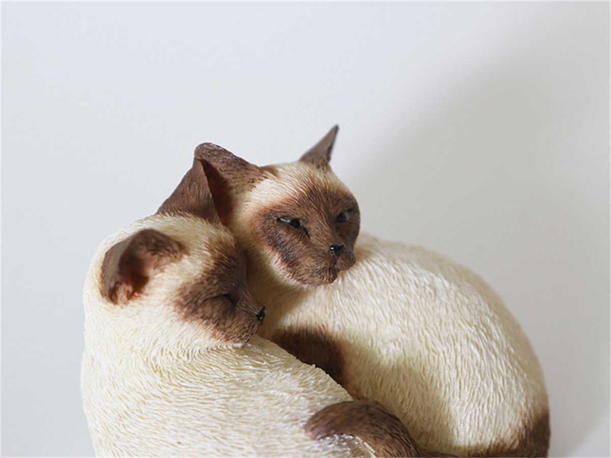 JJM Cute Birman Cat Pet Figure Kitten Felidae Animal Collector Toy Couple Sleeping Position Decoration Gift Crafts Souvenirs JJM Cute Birman Cat Pet Figure Kitten Felidae Animal Collector Toy Couple Sleeping Position Decoration Gift Crafts Souvenirs