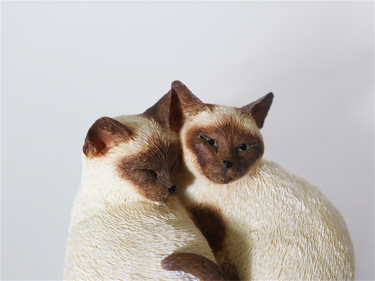 JJM Cute Birman Cat Pet Figure Kitten Felidae Animal Collector Toy Couple Sleeping Position Decoration Gift Crafts Souvenirs JJM Cute Birman Cat Pet Figure Kitten Felidae Animal Collector Toy Couple Sleeping Position Decoration Gift Crafts Souvenirs