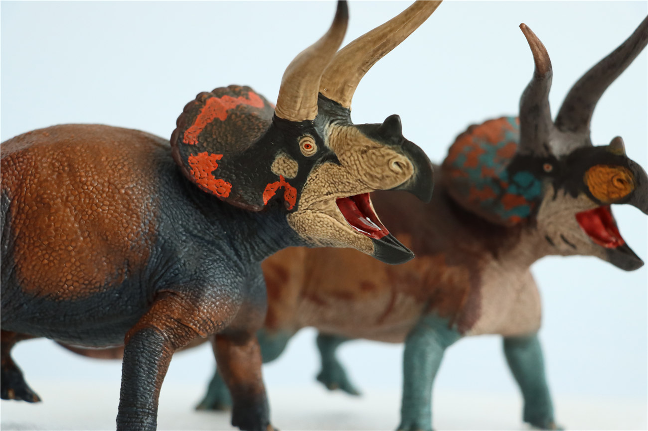 IN STOCK 2021 Eofauna 1/35 Triceratops sp. Figure Ceratopsidae Dinosaur Figure Collector Prehistoric Animal Gift PVC Model Toys