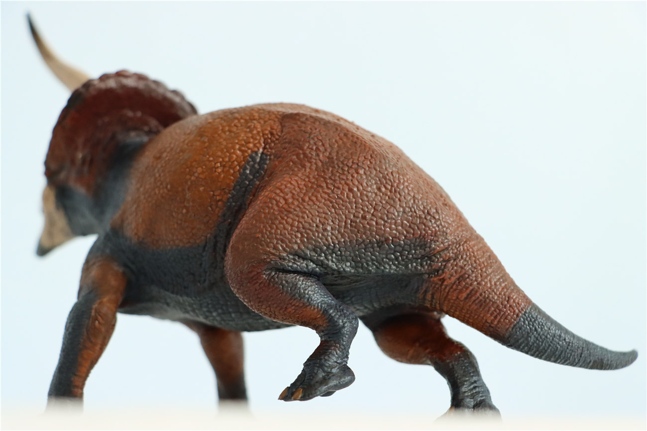 IN STOCK 2021 Eofauna 1/35 Triceratops sp. Figure Ceratopsidae Dinosaur Figure Collector Prehistoric Animal Gift PVC Model Toys