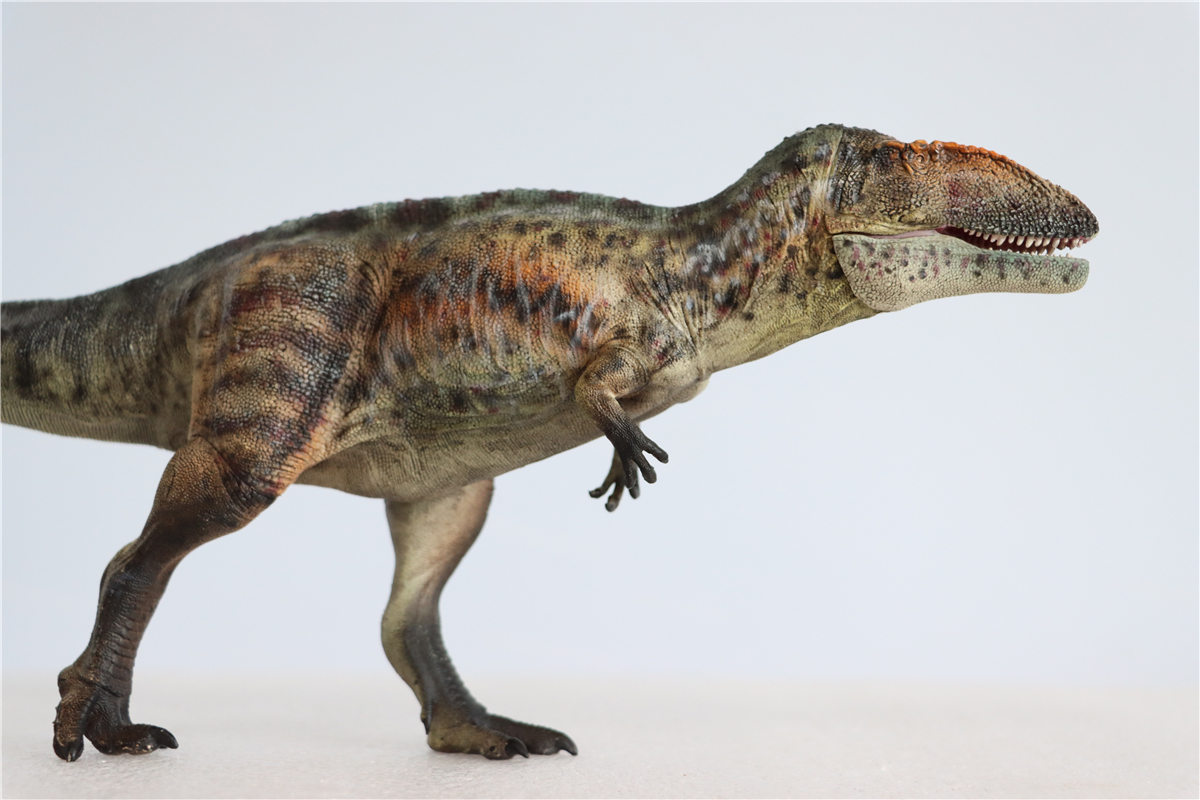 IN STOCK! GRTOYS 1/35 Scientific Carcharodontosaurus Figure Realistic Dinosaur PVC Collector Toys Animal Model Decoration Gift