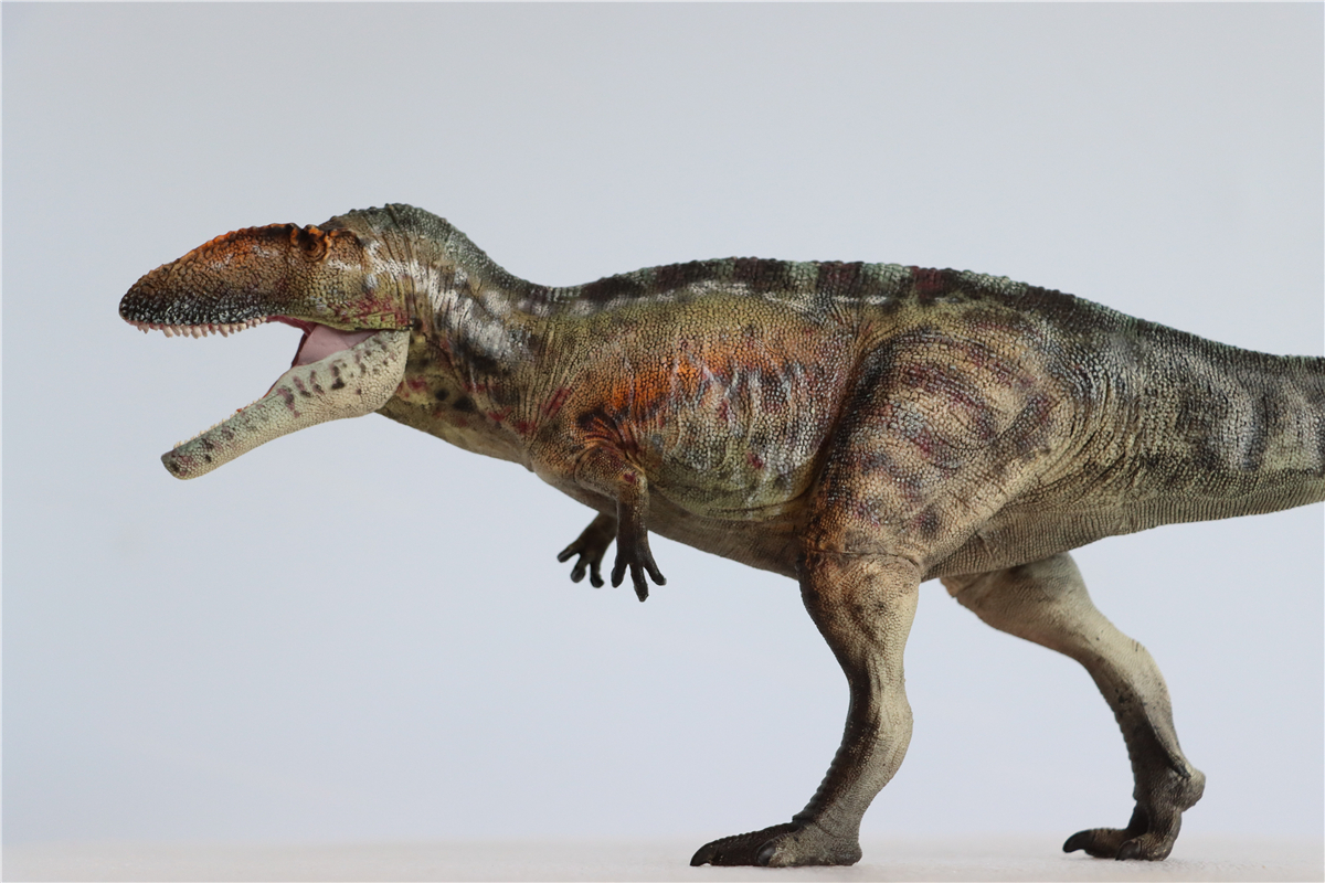 IN STOCK! GRTOYS 1/35 Scientific Carcharodontosaurus Figure Realistic Dinosaur PVC Collector Toys Animal Model Decoration Gift