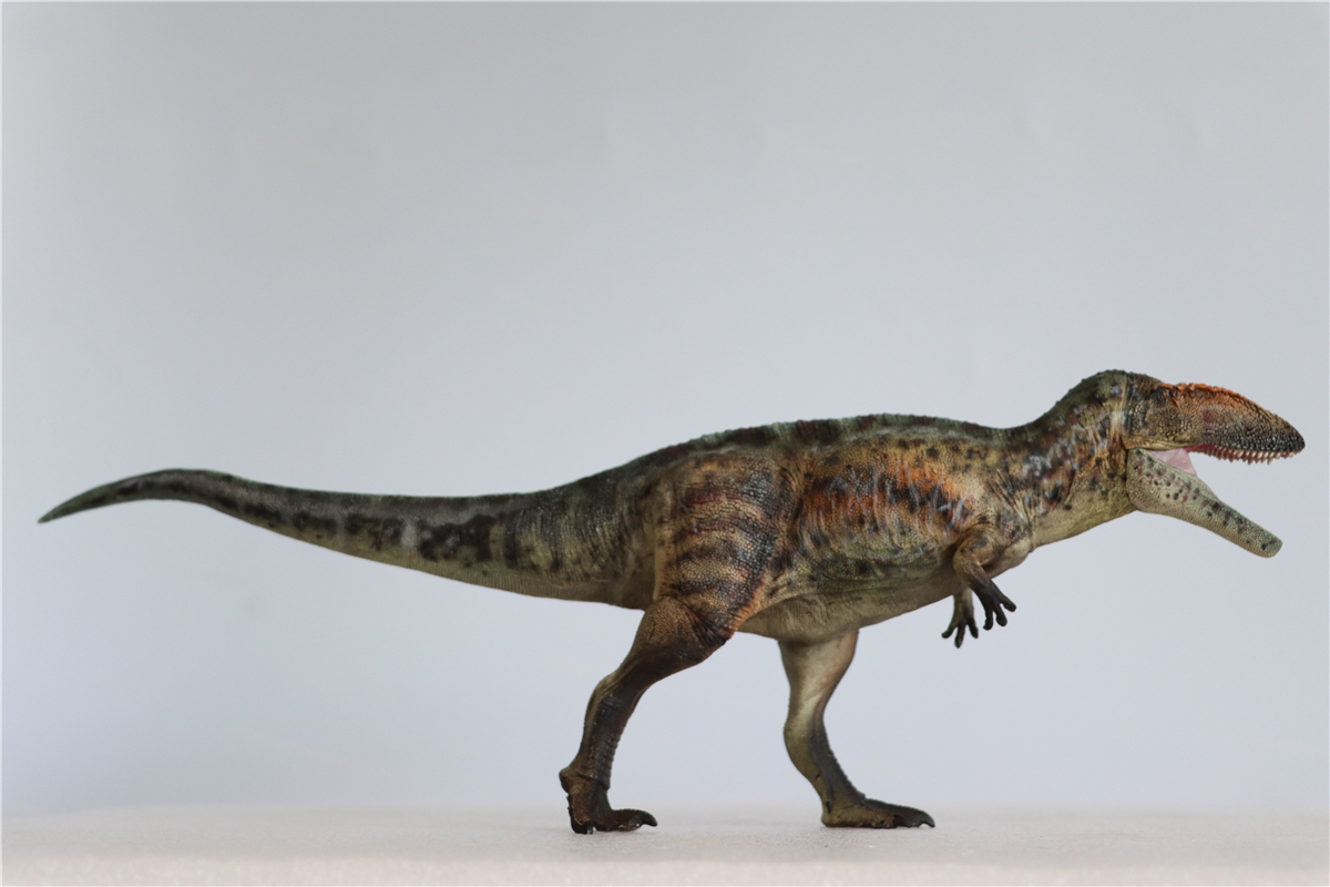 IN STOCK! GRTOYS 1/35 Scientific Carcharodontosaurus Figure Realistic Dinosaur PVC Collector Toys Animal Model Decoration Gift
