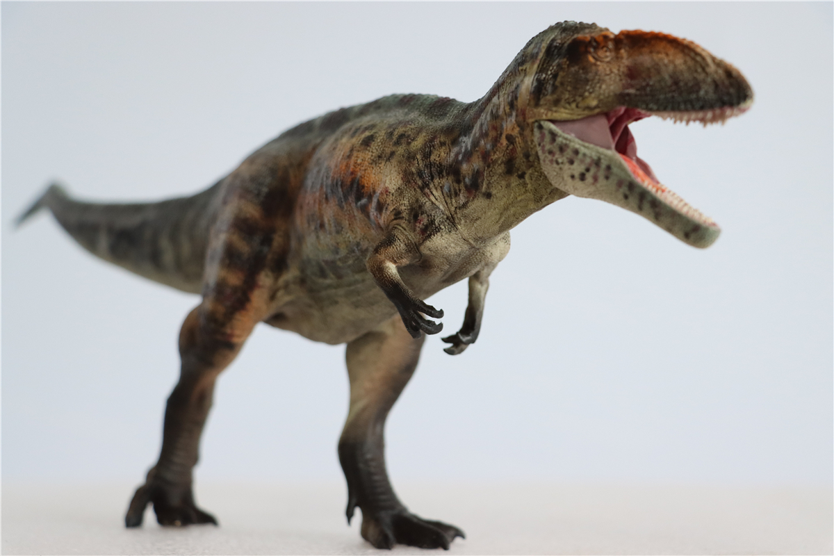 IN STOCK! GRTOYS 1/35 Scientific Carcharodontosaurus Figure Realistic Dinosaur PVC Collector Toys Animal Model Decoration Gift
