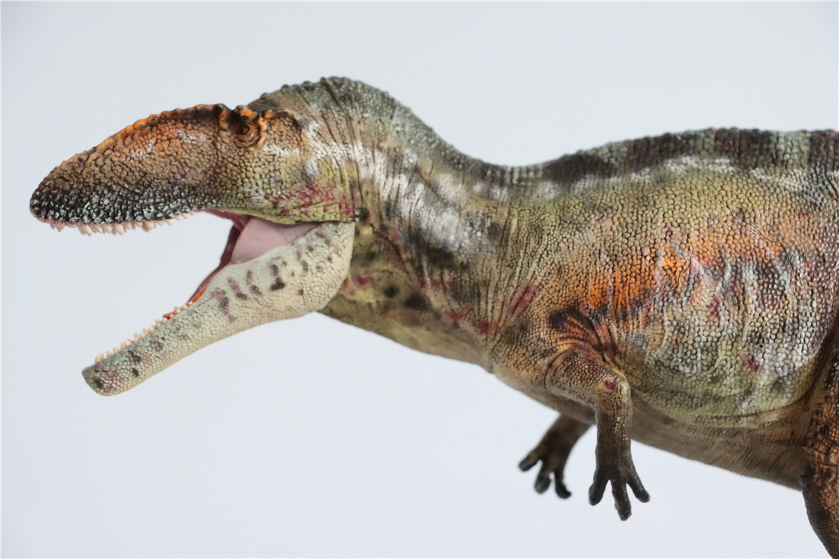IN STOCK! GRTOYS 1/35 Scientific Carcharodontosaurus Figure Realistic Dinosaur PVC Collector Toys Animal Model Decoration Gift